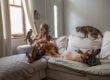 Pet photography in Montgomery County PA