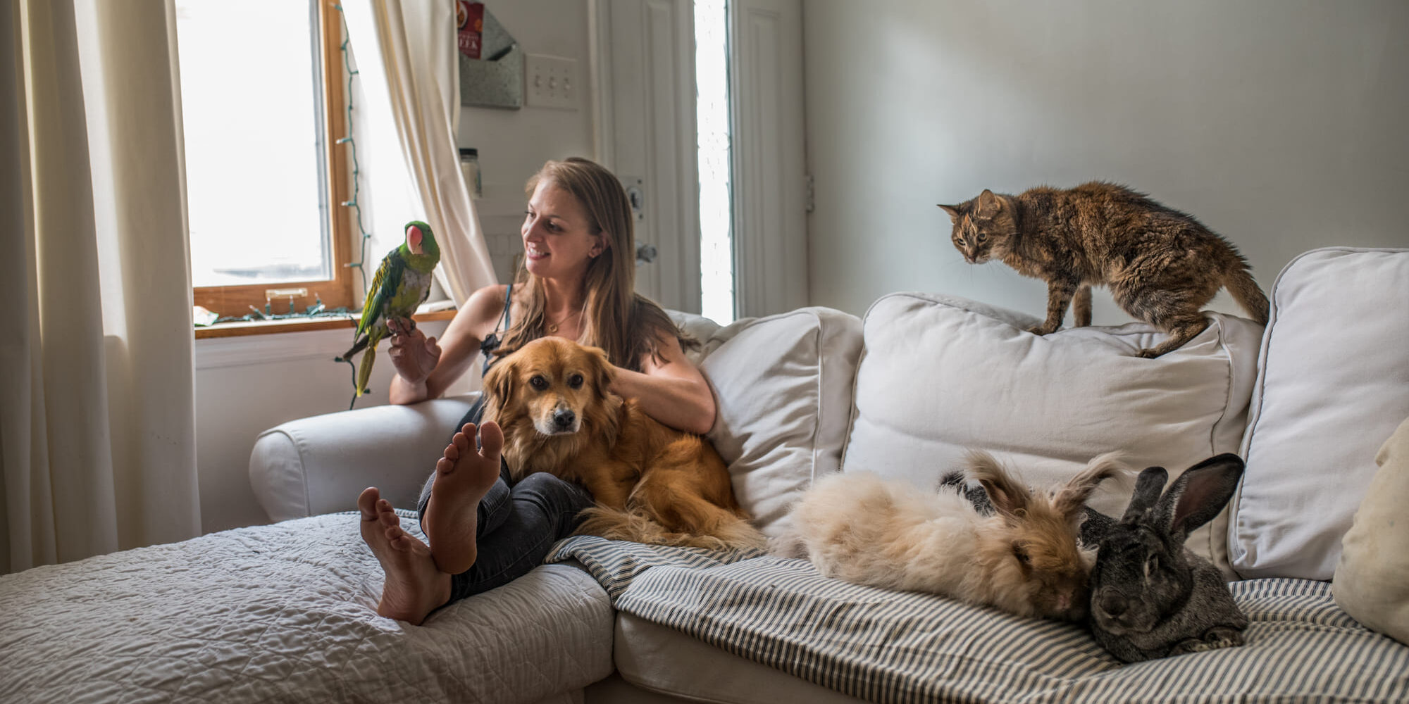 Pet photography in Montgomery County PA