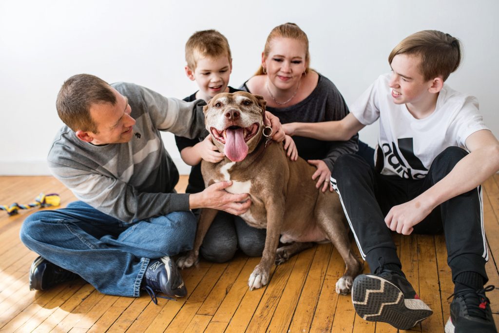 The family sit around their smiling pitbull in appreciation of their senior dog