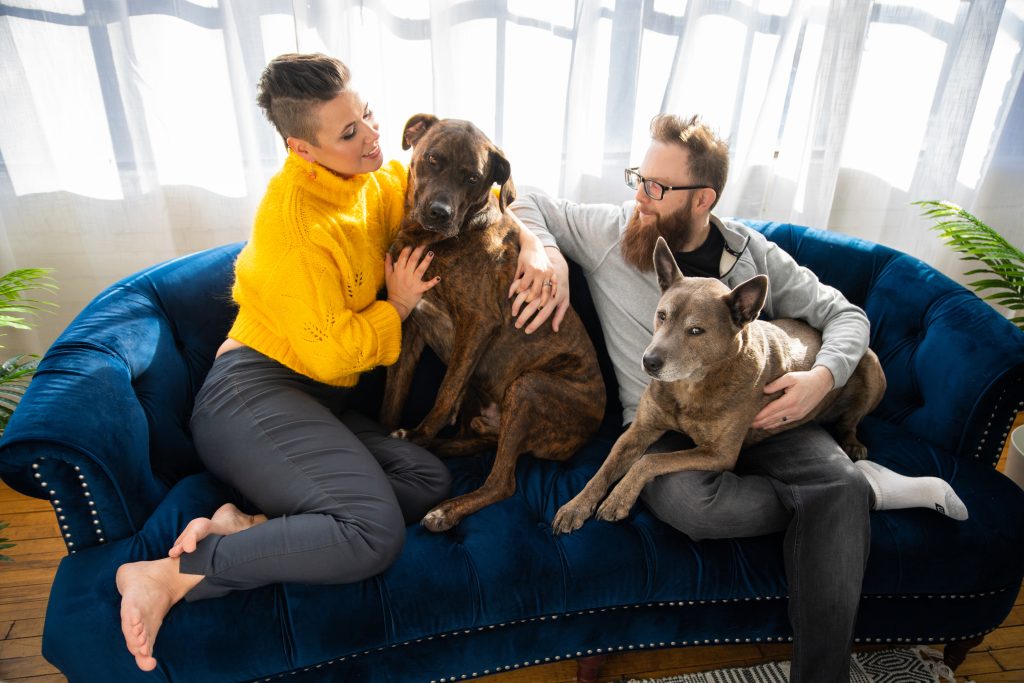 a couple and their dogs posing for legacy session at Lux Summit Studio