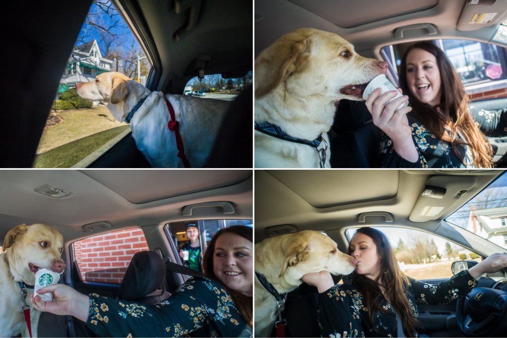 woman and dog get puppacino at Blue Bell starbucks in pet photo session