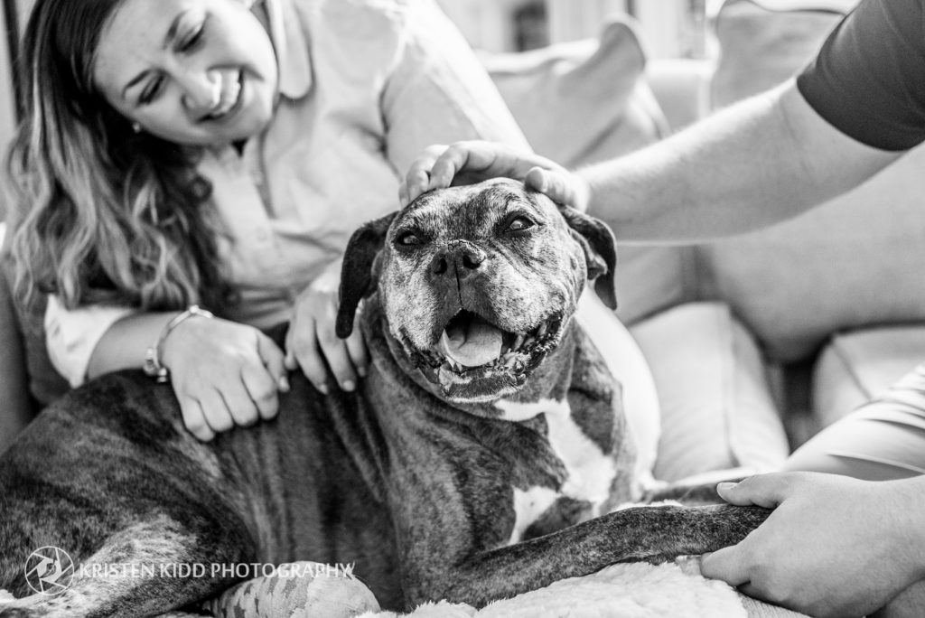 pet family photo session with kristen kidd photography