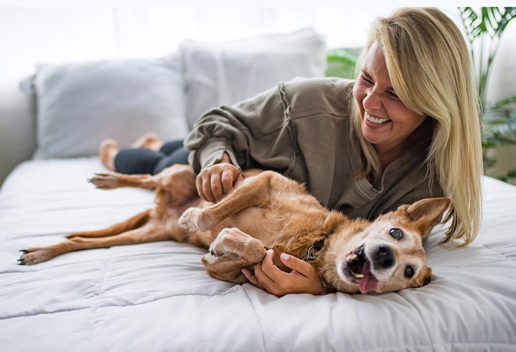 Dog lover celebrating senior dogs in a bed