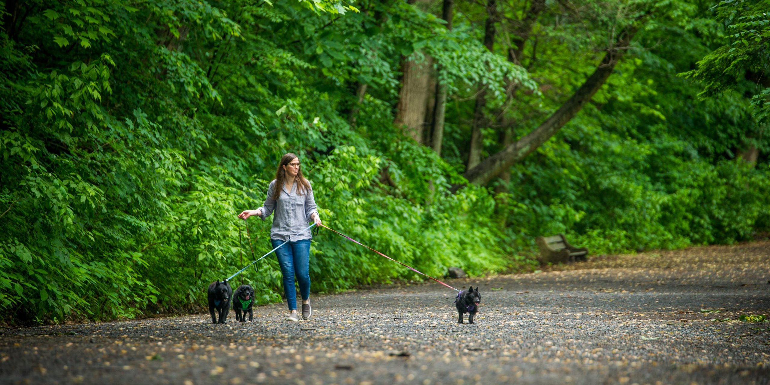 Woman hiking with her dogs down a gravel path in a forested local park