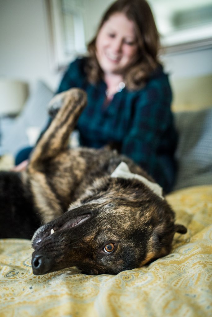 dog receives belly rubs in Lansdale pet photo session