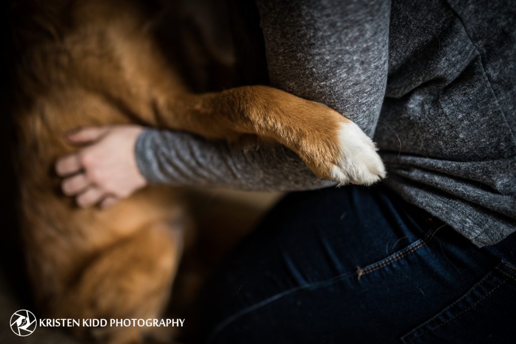 Woman and dog embrace during phoenixville pet photo session with Kristen Kidd Photography
