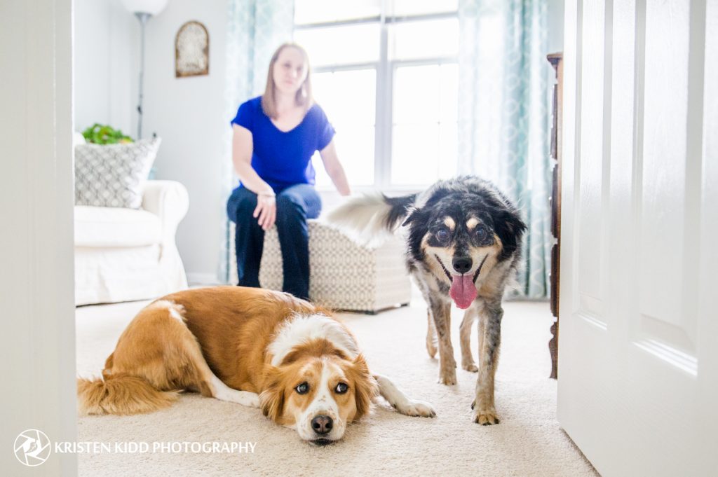Bucks county in home pet photo session kristen kidd photography